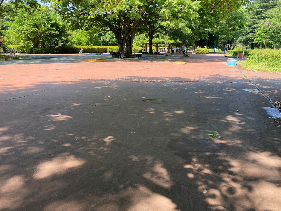 小金井公園 槻の木広場