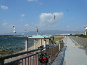 甲子園浜海浜公園