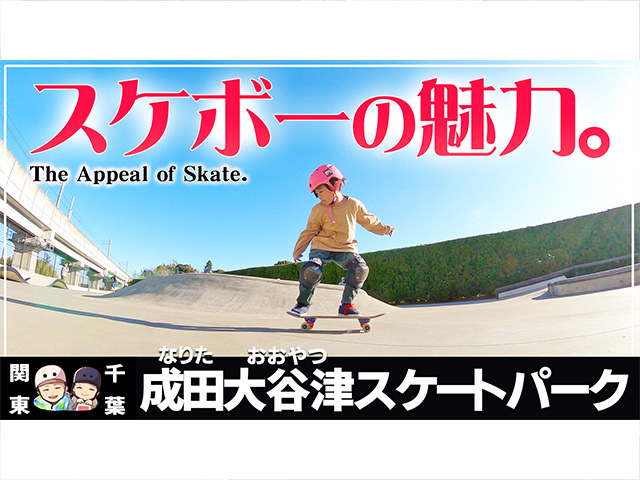 成田大谷津運動公園スケートパーク